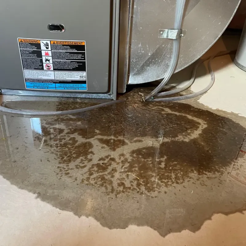 Appliance Leak Cleanup in Gatesville, NC